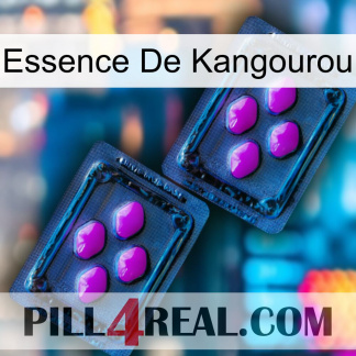 Kangaroo Essence 03